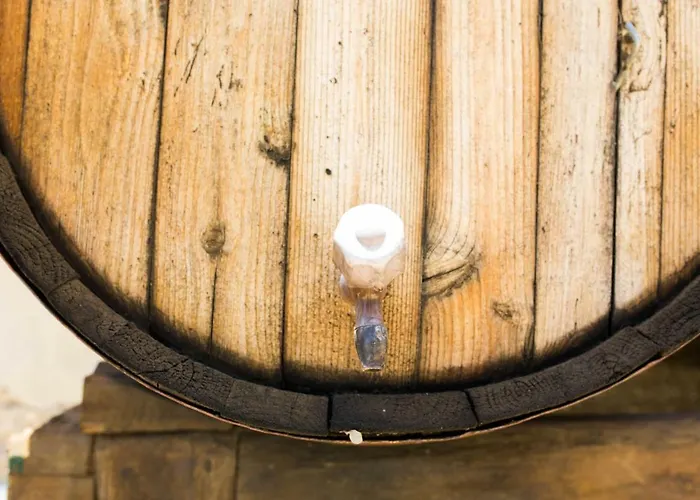 カントリーハウス La Malvasia Arico Viejo