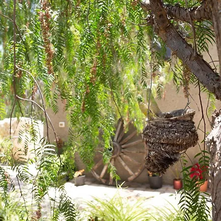 La Malvasia 컨트리하우스 *