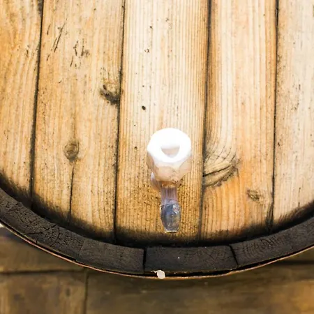 カントリーハウス La Malvasia Arico Viejo