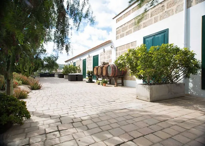 Séjour à la campagne La Malvasia Arico Viejo