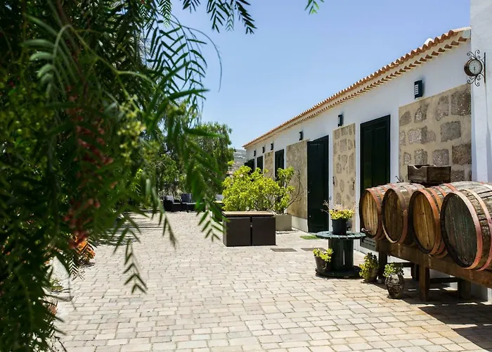 La Malvasia