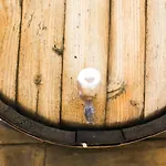 בית כפרי La Malvasia Arico Viejo