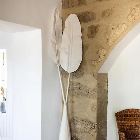 La Malvasia Country house Arico Viejo